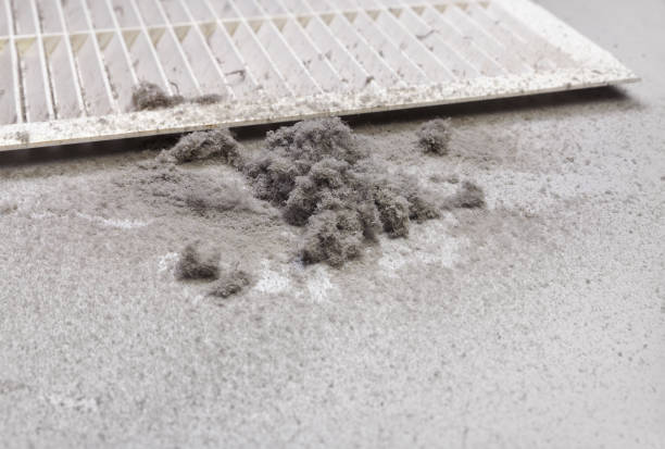 Best Emergency Air Duct Cleaning  in Guntown, MS