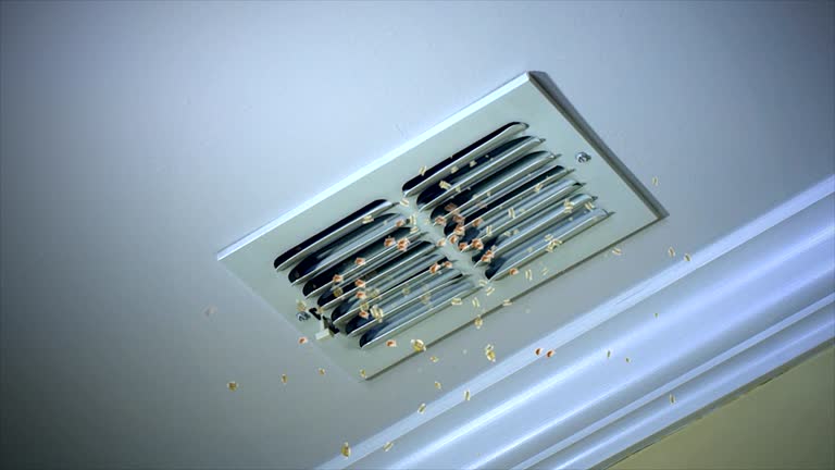 Best Affordable HVAC Duct Cleaning  in Guntown, MS