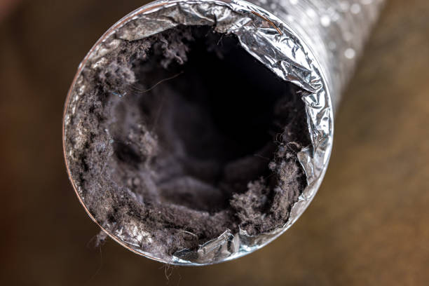 Trusted Guntown, MS Airduct Cleaning Experts