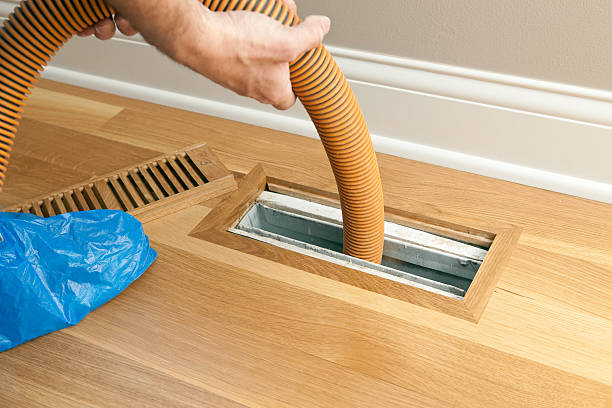 Air Duct Mold Removal in Guntown, MS