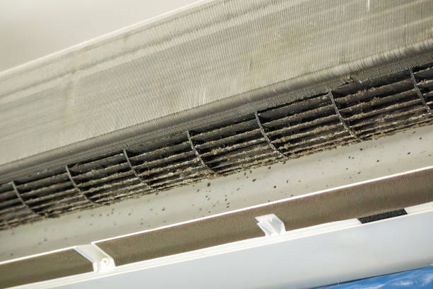 Best Residential Air Duct Cleaning  in Guntown, MS